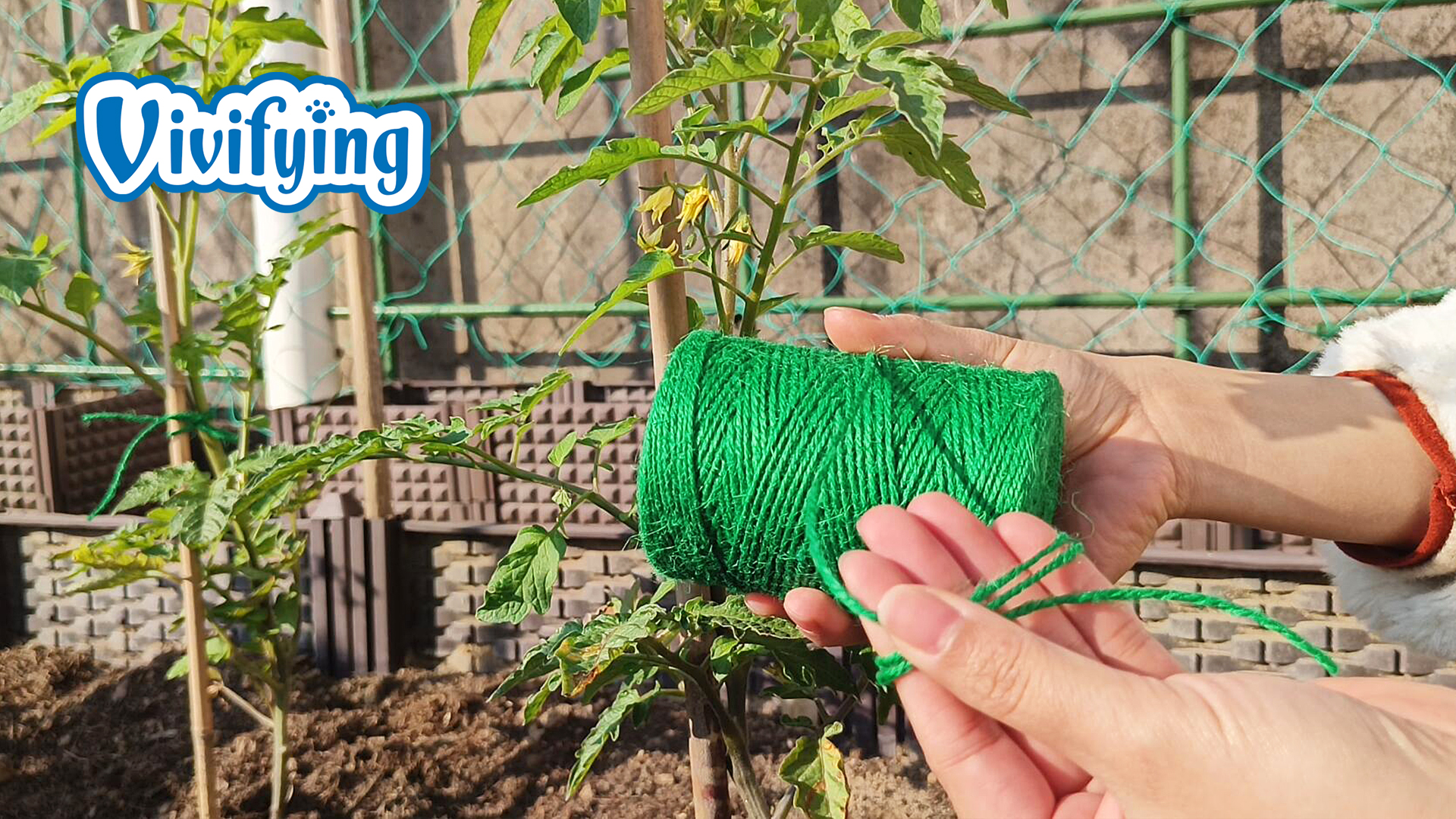 Amazon.com: Vivifying Garden Twine, 656 Feet 2mm Green Plant Ties